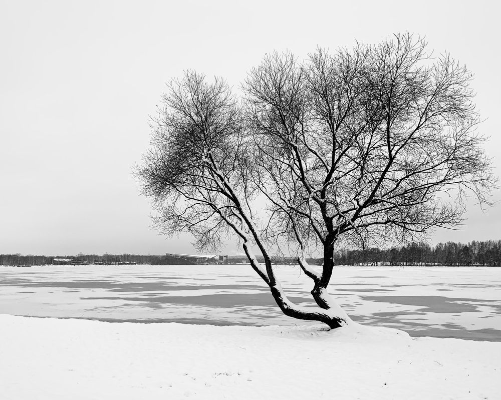 Photograph by Надежда Смирнова