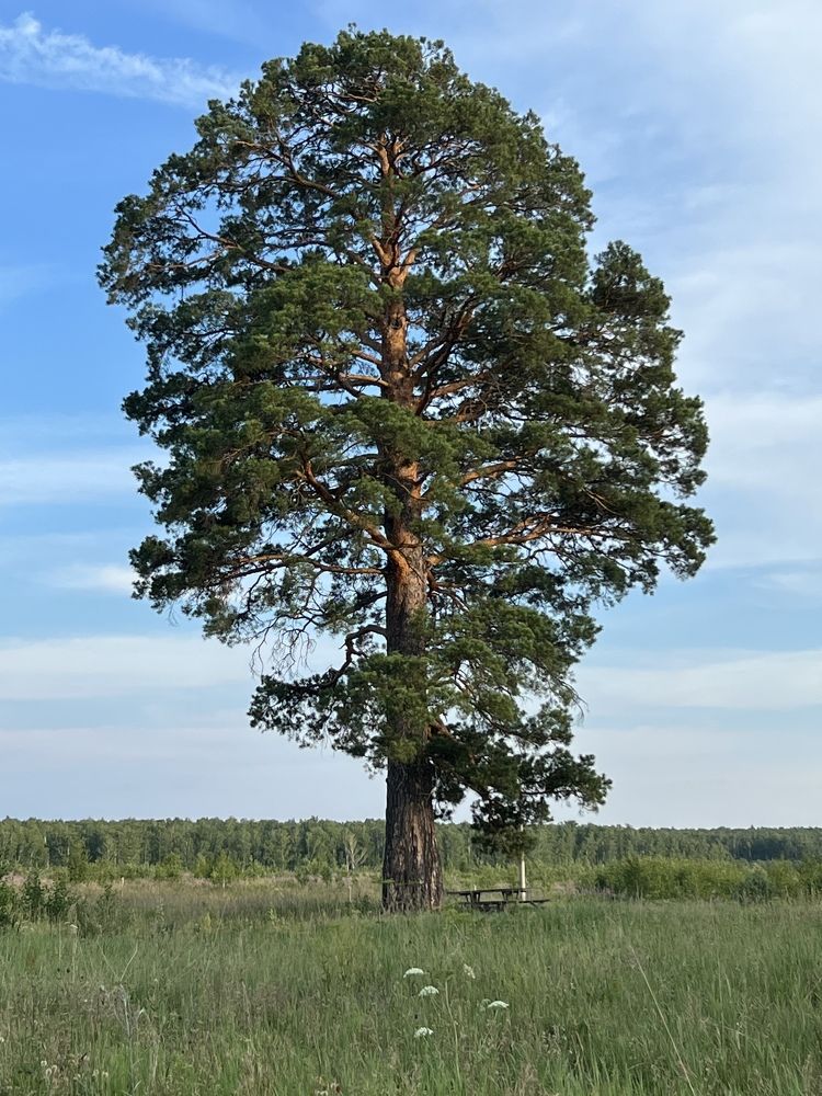 Photograph by Анастасия Бивалькевич
