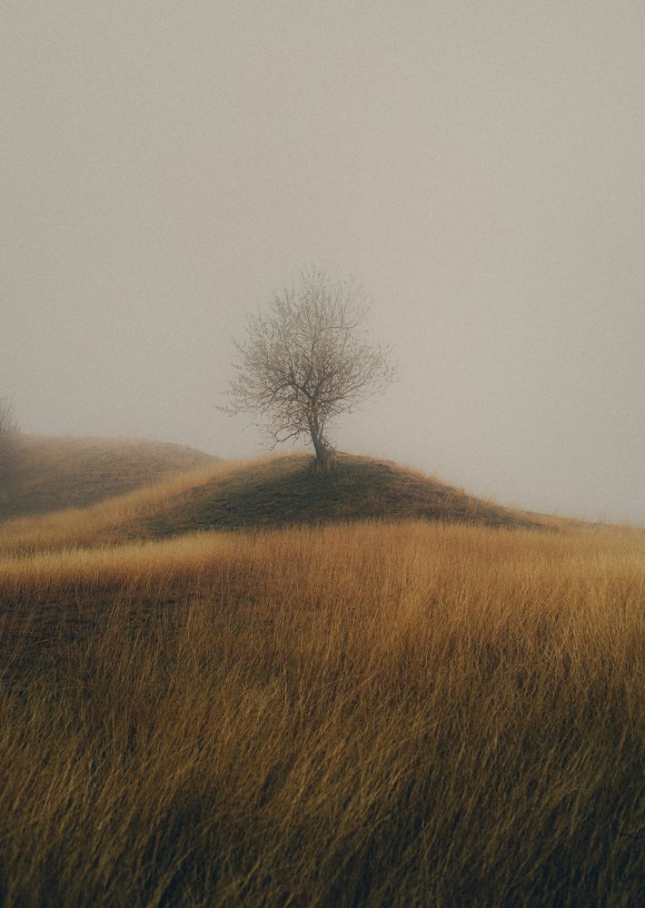 Photograph by Oleg Suhenko