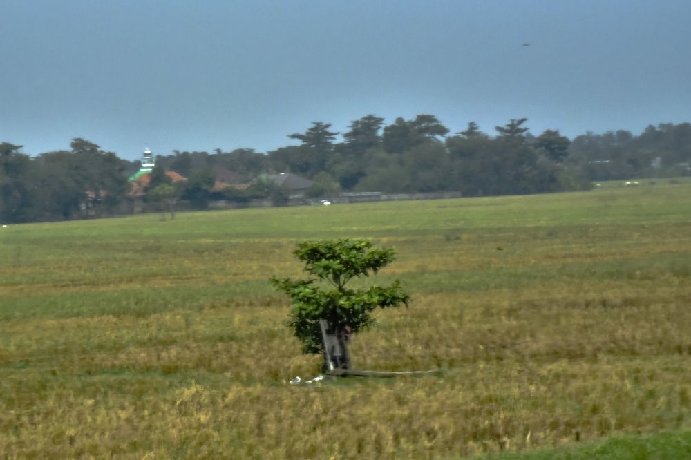 Photograph by Pujo Cahyono