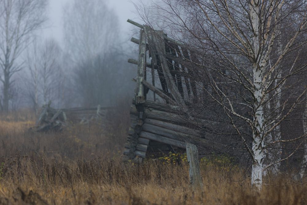 Photograph by Алексей Широбоков