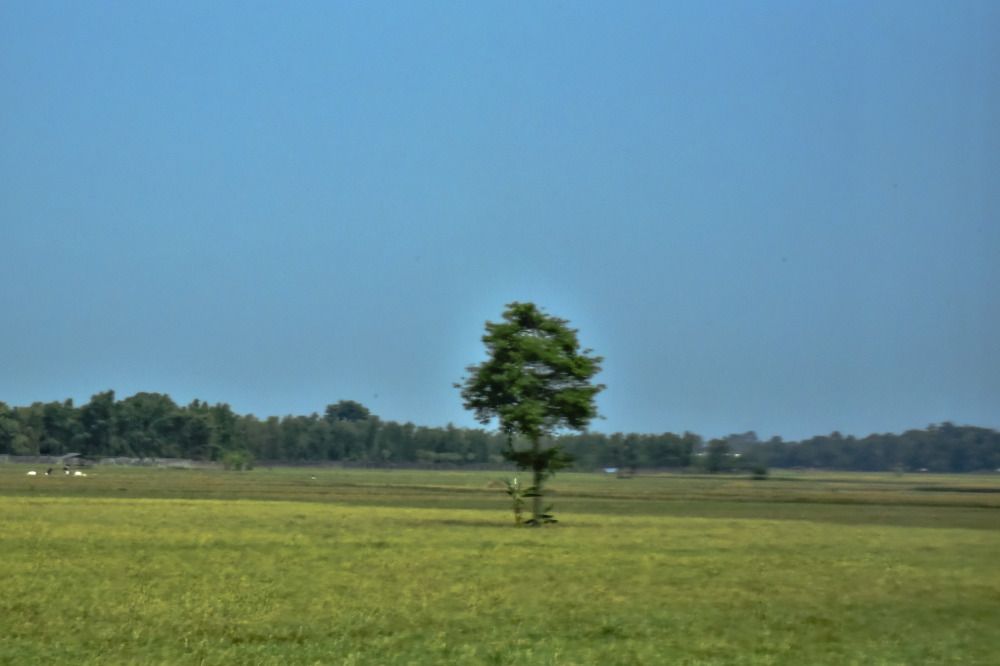 Photograph by Pujo Cahyono