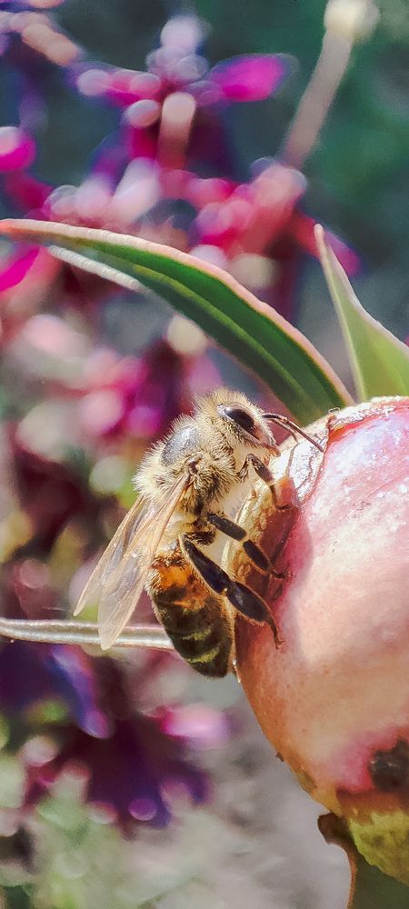 Photograph by Ирина Матюхина