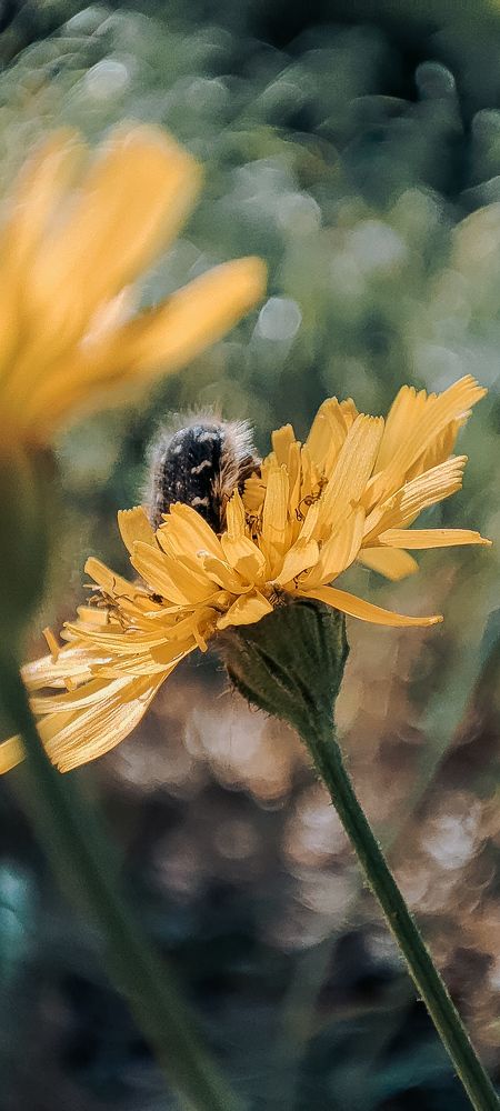 Photograph by Ирина Матюхина