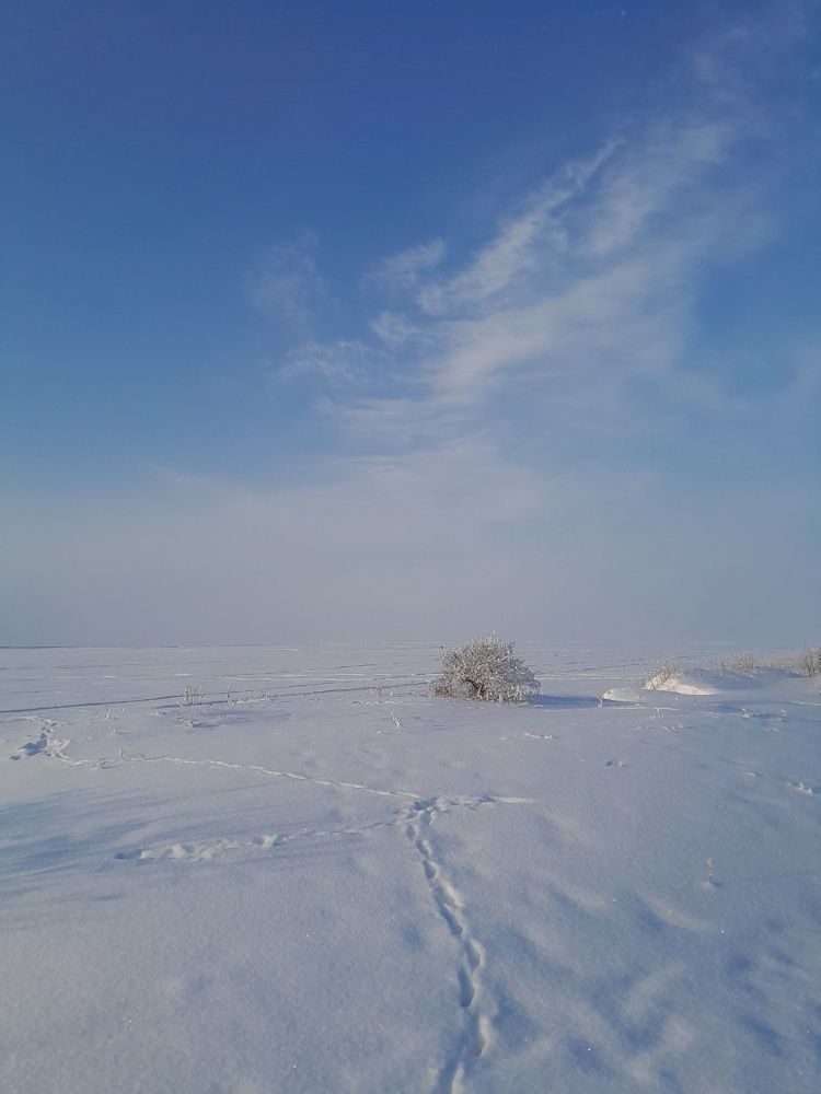 Photograph by Виталий