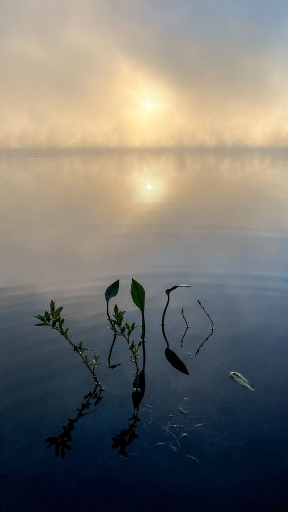 Photograph by Kaiser Sozo