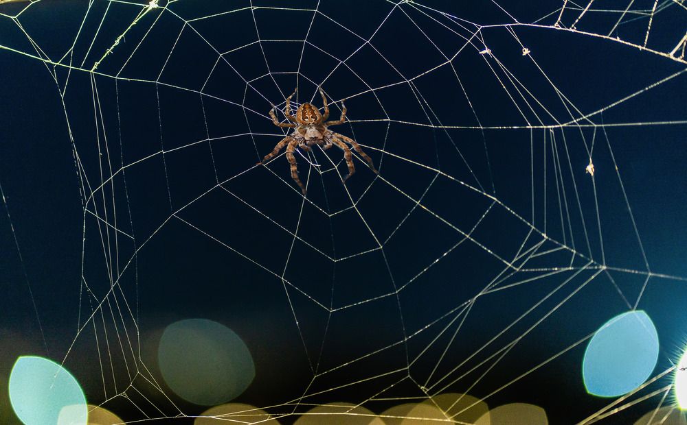 Photograph by Галина Искандарова