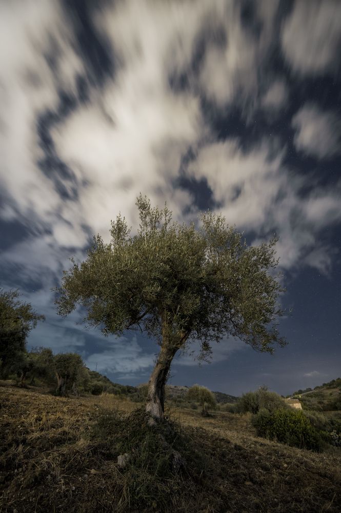 Photograph by Giancarlo Tinè