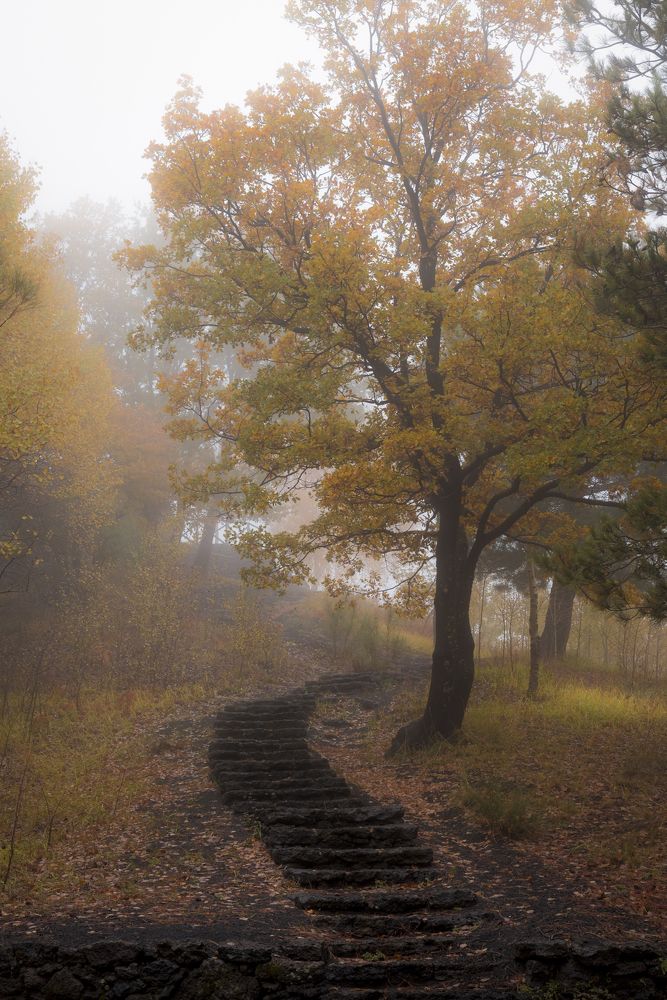 Photograph by Giancarlo Tinè