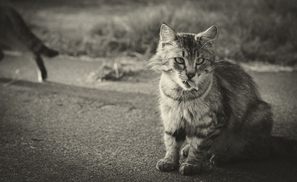 Photograph by Владислав Циклинский