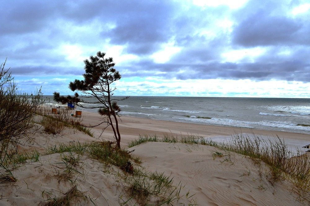 Photograph by Андрей Москалев