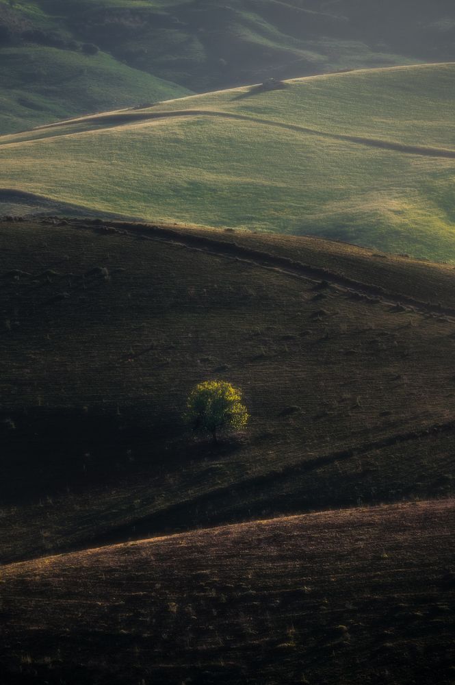 Photograph by Giancarlo Tinè