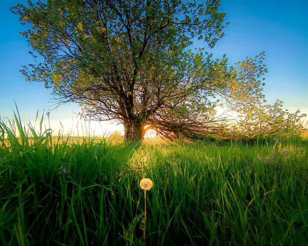 Photograph by Кондрашова Светлана