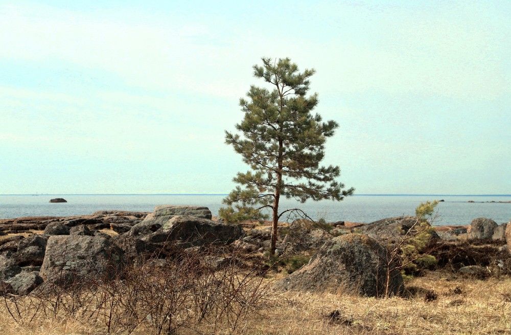 Photograph by Лада Денисова