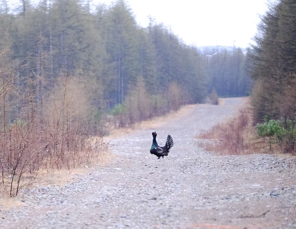 Photograph by Хазан Сергей