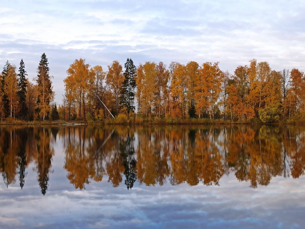 Photograph by Елена Копейкина