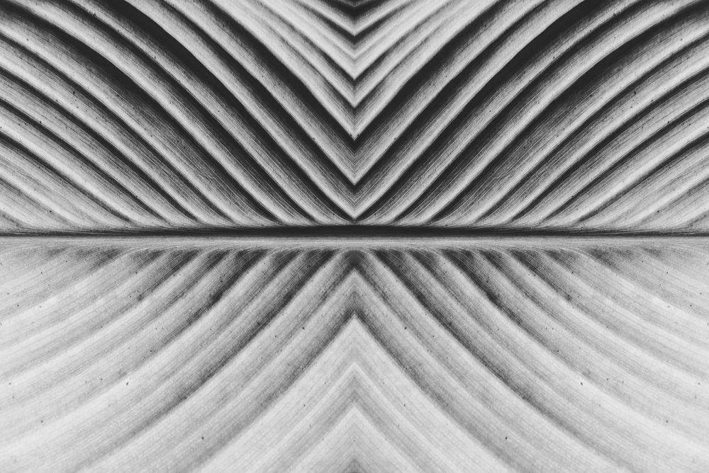 Фотография автора Nima Mohsenpour