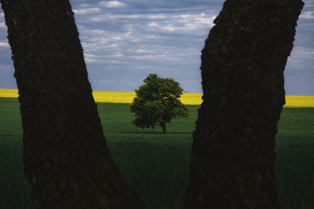 Photograph by Сергей Дишук