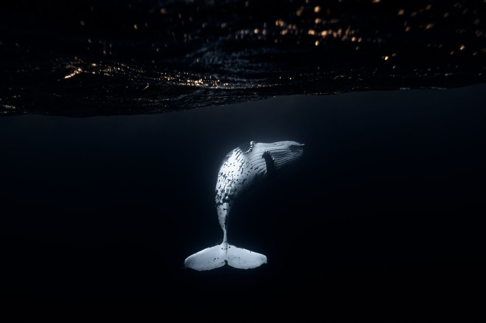 Photograph by michaela