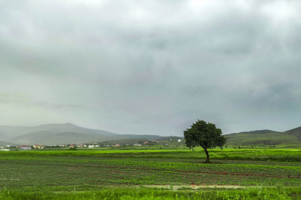 Фотография автора Minja Jovetic