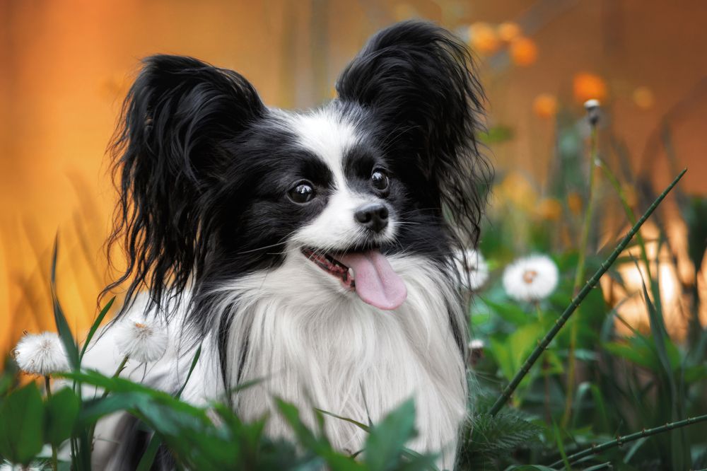 Photograph by Зубкова Юлия