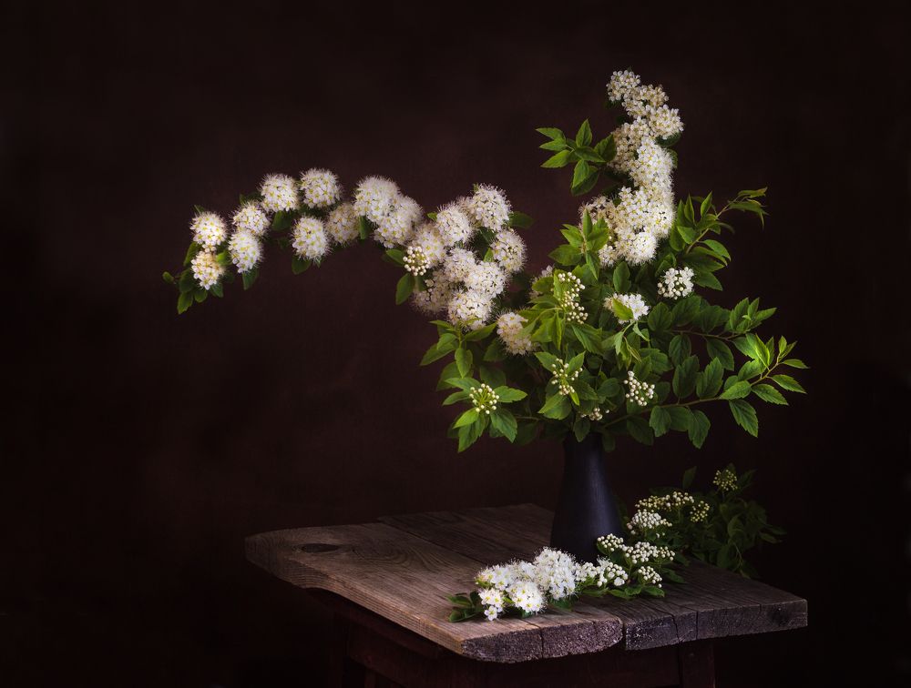 Photograph by Хвойнова Елена