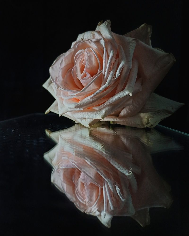 Photograph by Anastasiya Danilova