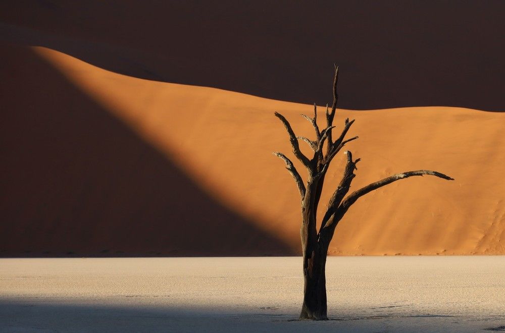 Photograph by Диана Жагрина