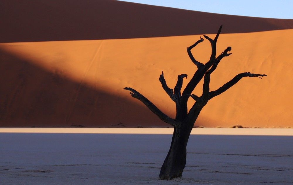 Photograph by Диана Жагрина