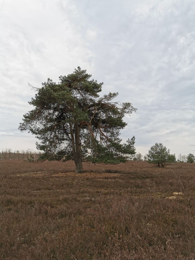 Photograph by Михаил Жарский