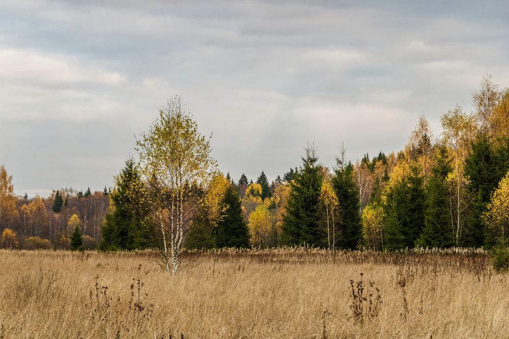 Photograph by Алексей Чеботарев