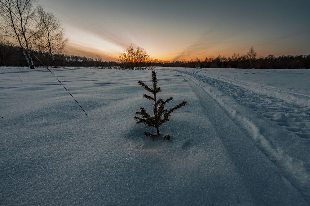 Photograph by Алексей Чеботарев