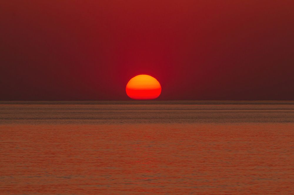 Photograph by Алексей Чеботарев