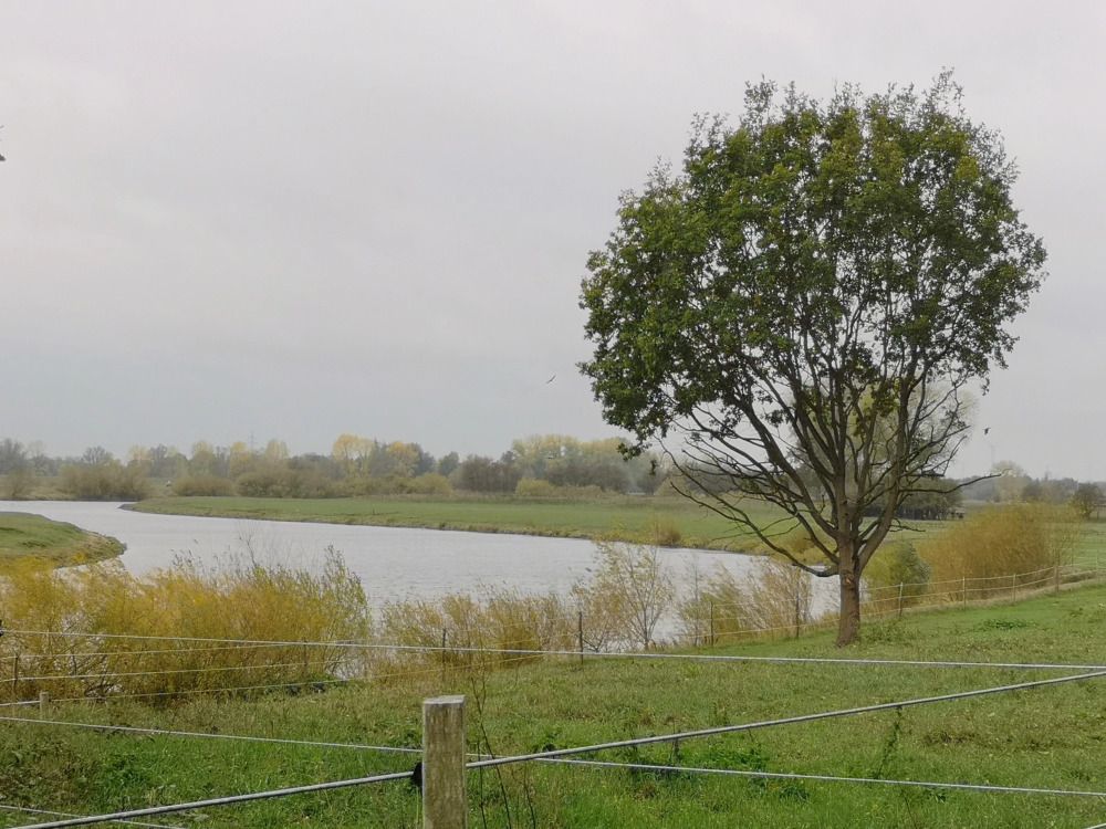 Photograph by Михаил Жарский