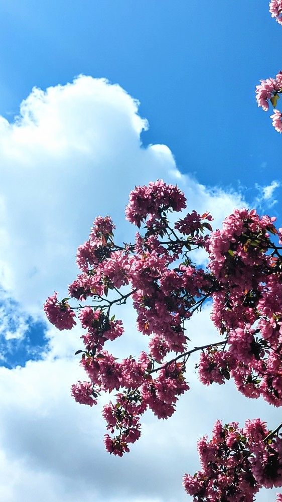 Photograph by Shaila Mahbub