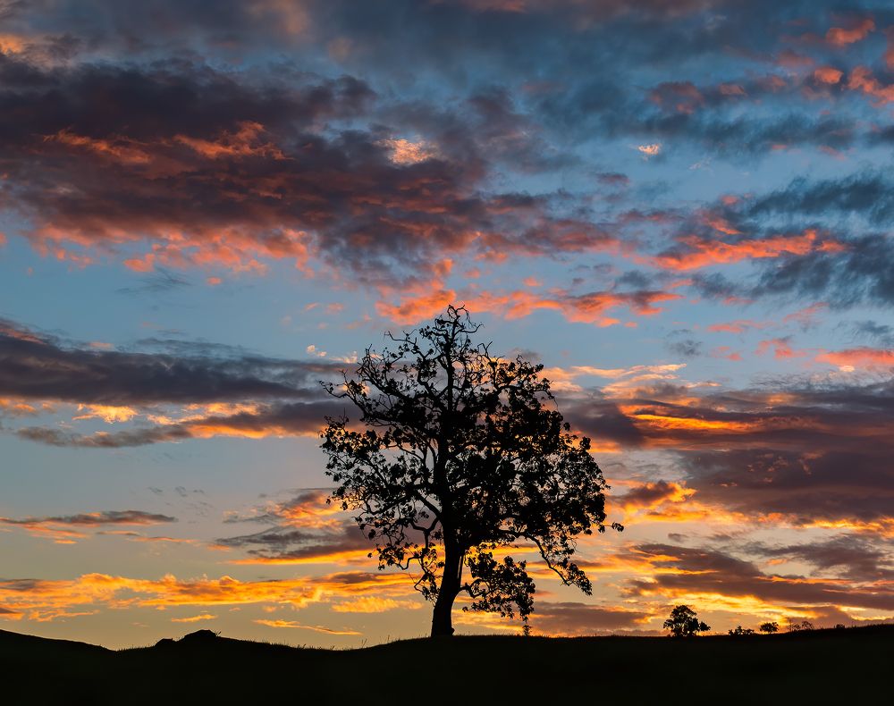 Photograph by Valdir Hobus