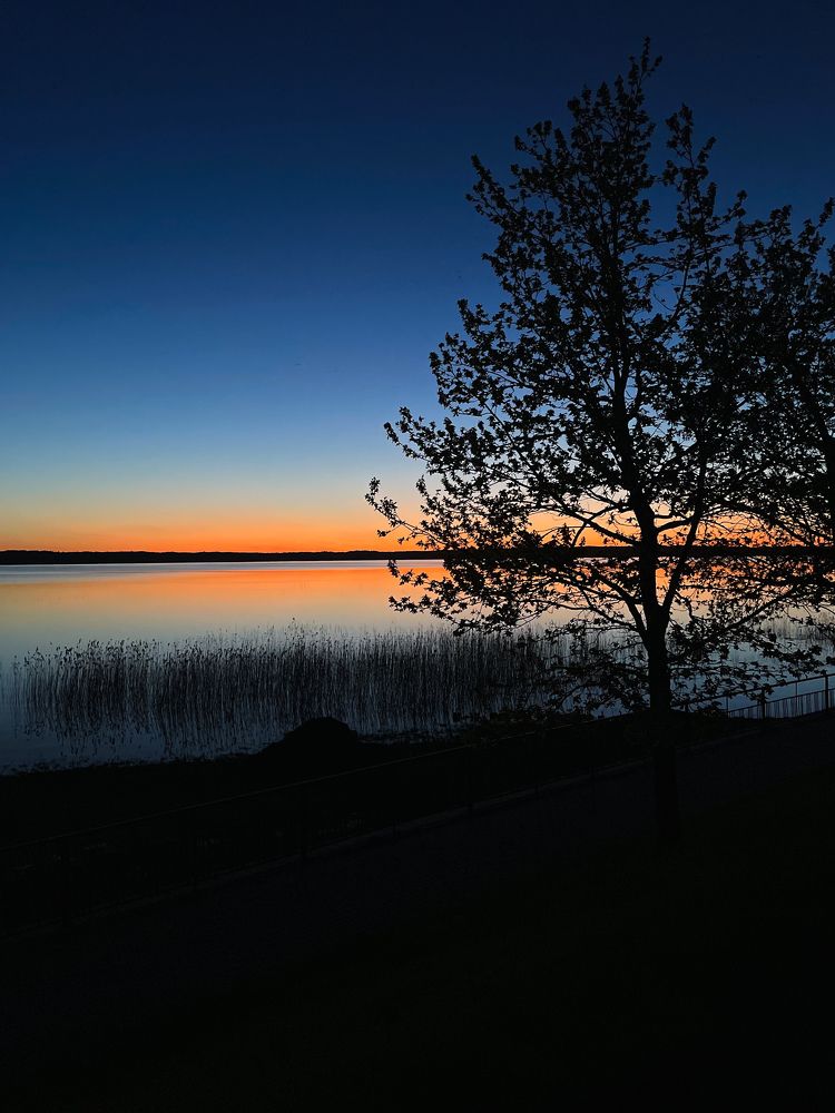 Photograph by Марина Тверитнева