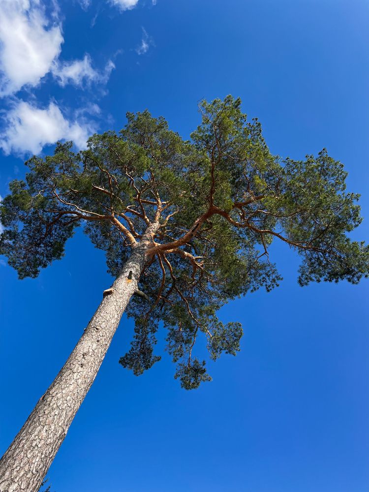 Photograph by Марина Тверитнева