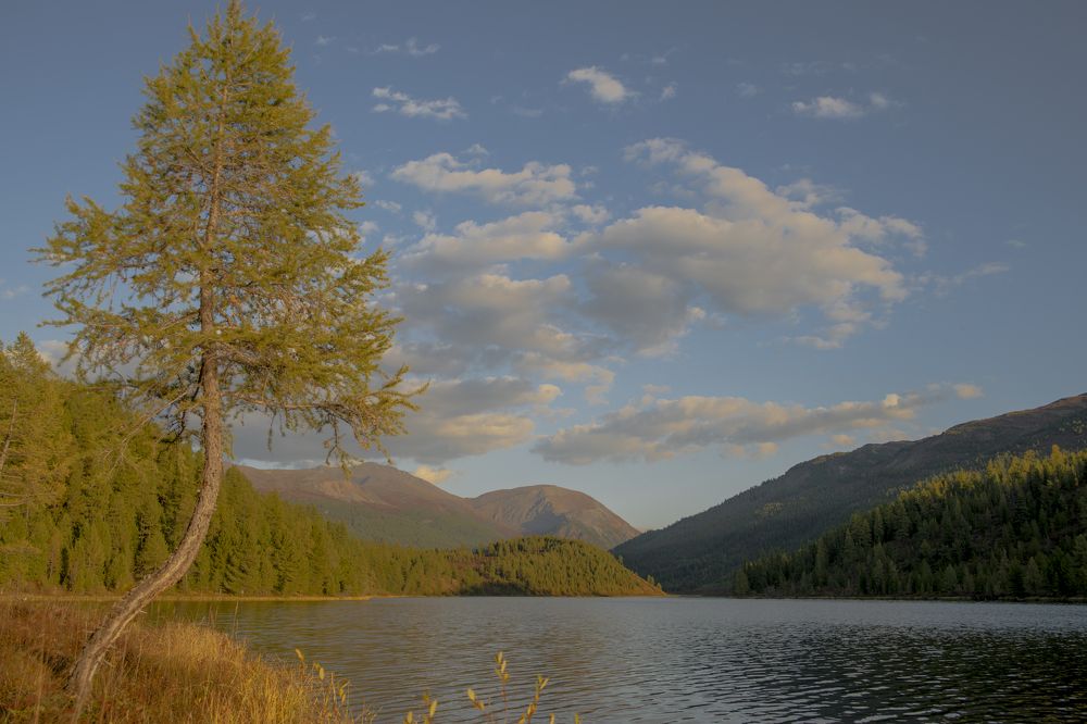 Photograph by Сергей Шерстнев