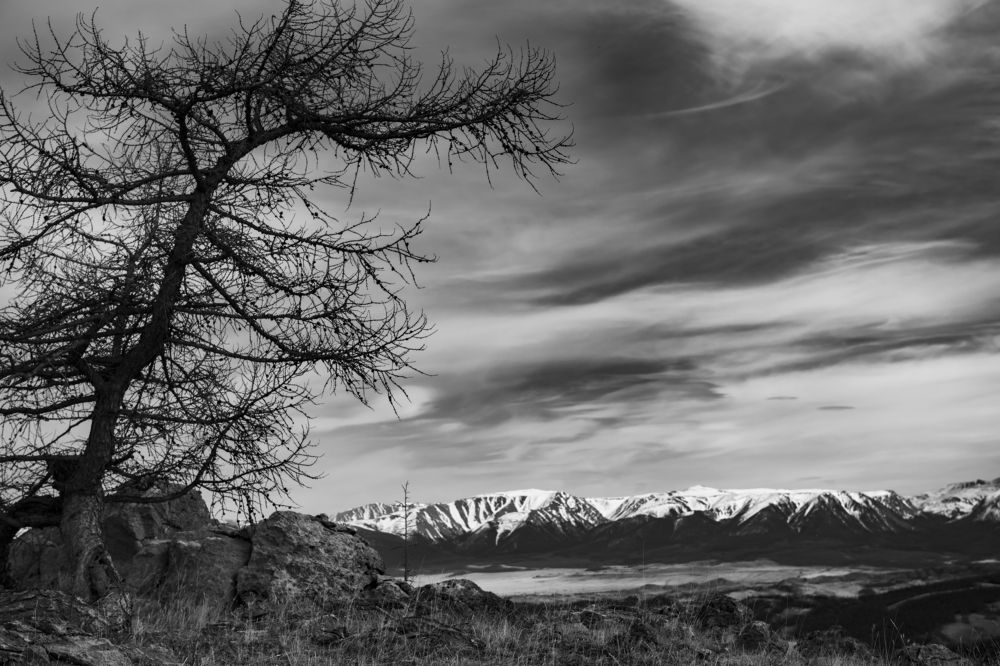 Photograph by Сергей Шерстнев