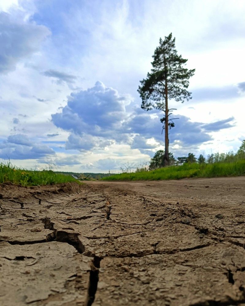 Photograph by Александра Ламанова