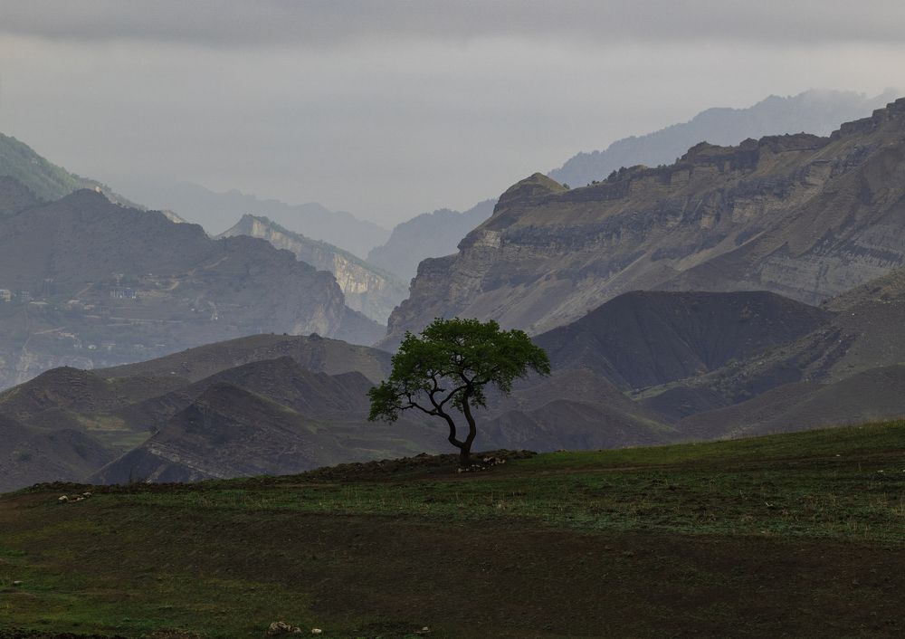 Photograph by Анна Бокова