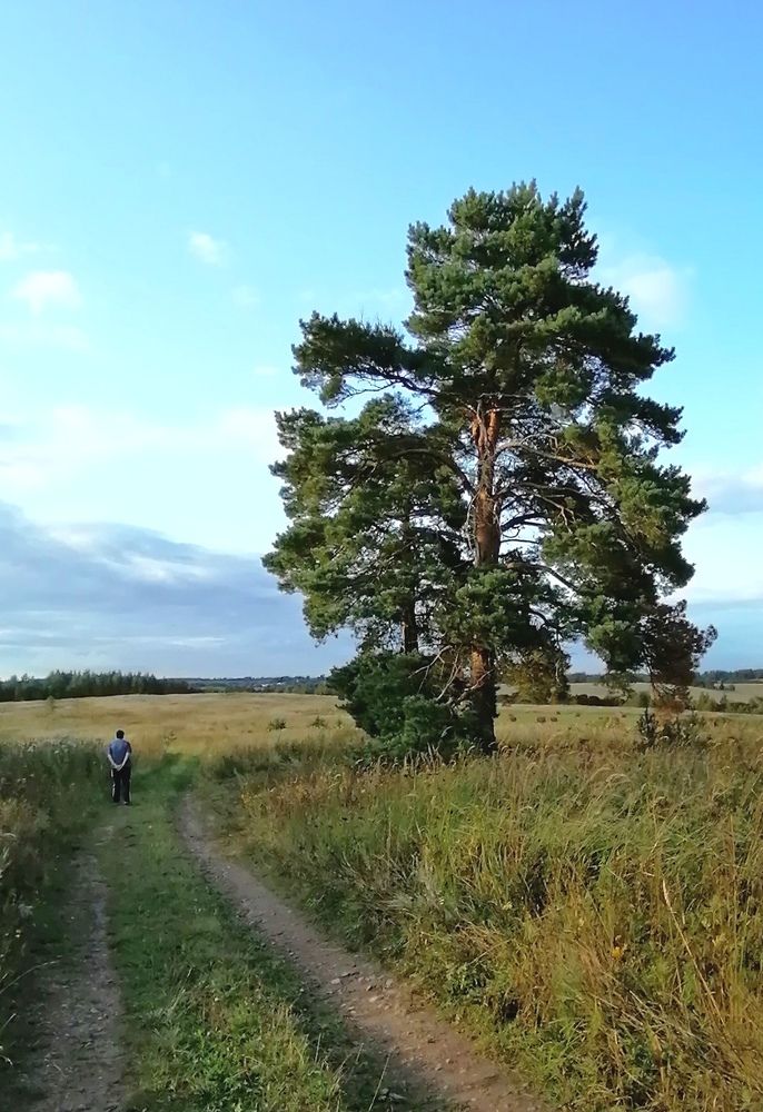 Photograph by Михаил Попов