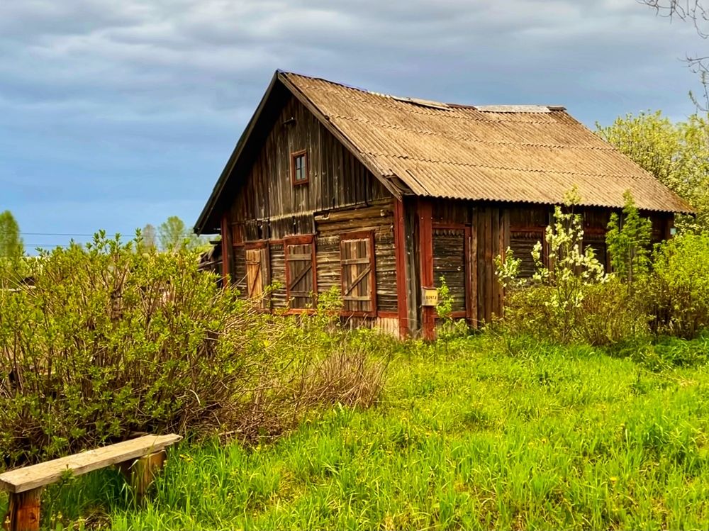 Photograph by Ирина Селиверстова