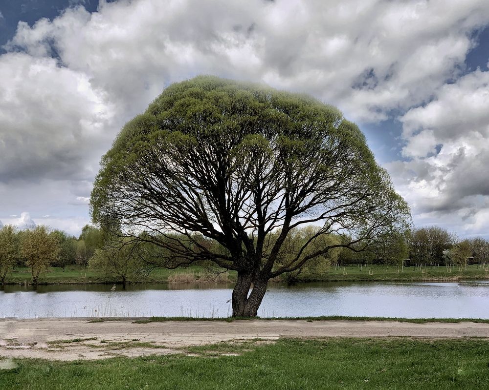 Photograph by Надежда Смирнова