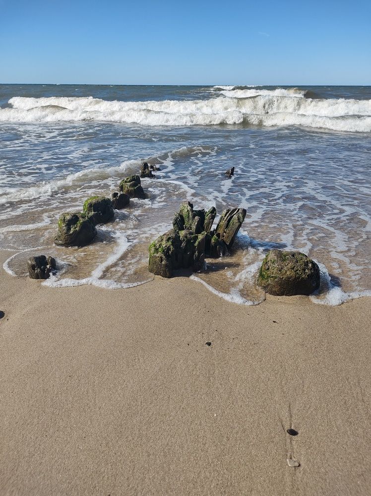 Photograph by Александра Мамедова