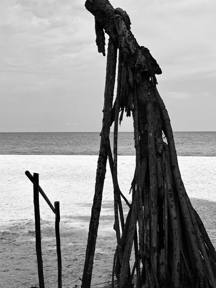 Photograph by Наталья Житинева