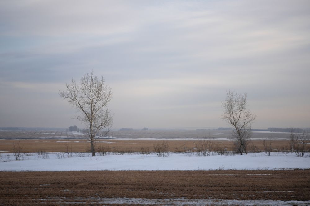 Photograph by Наталья Житинева