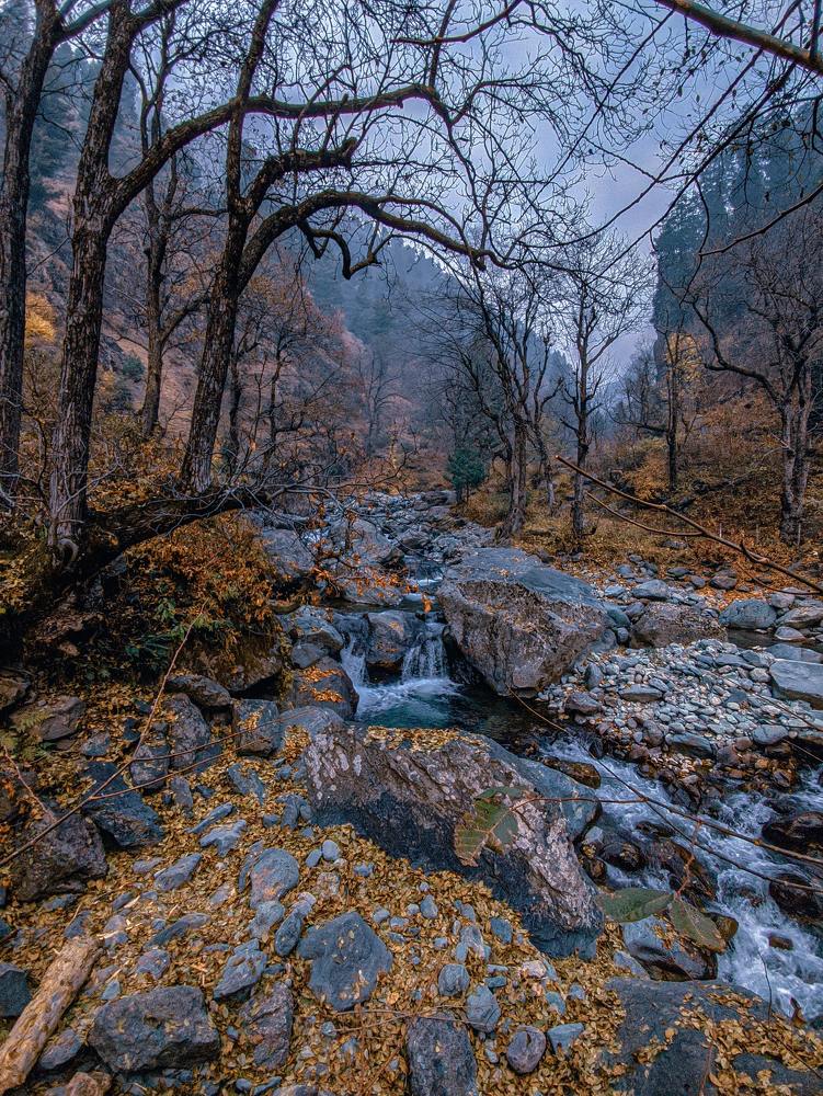 Magnificent Kashmir