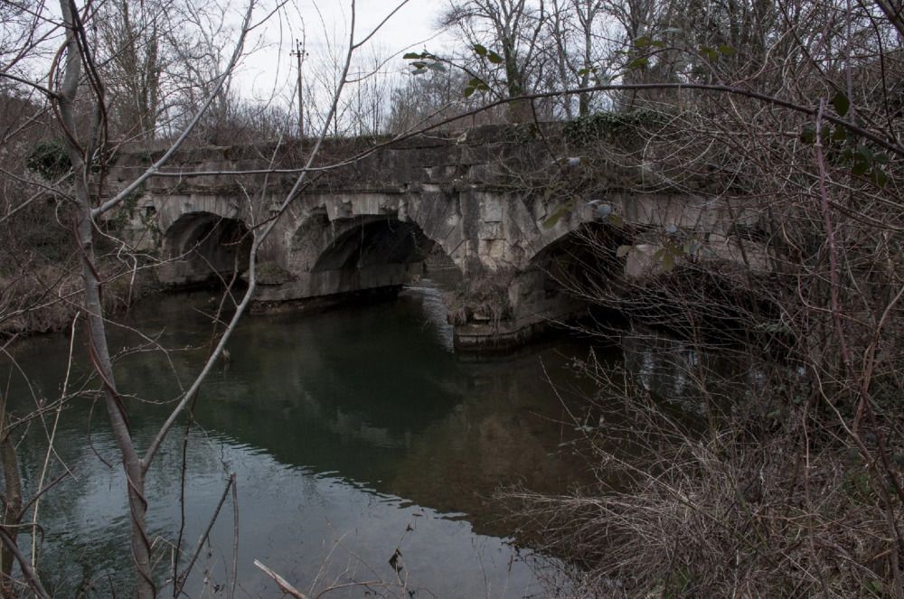 Photograph by Екатерина Игоревна